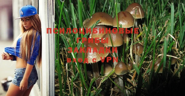2c-b Белоозёрский