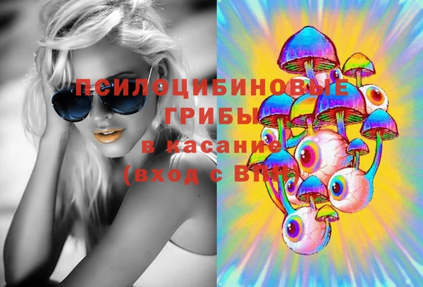 spice Беломорск
