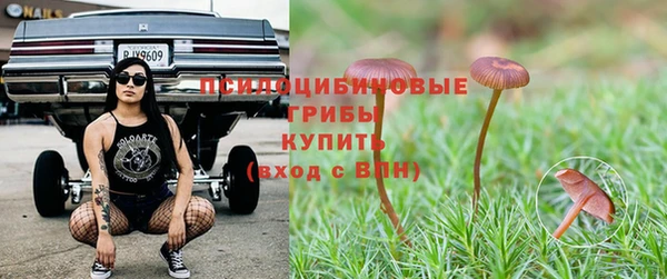 2c-b Белоозёрский