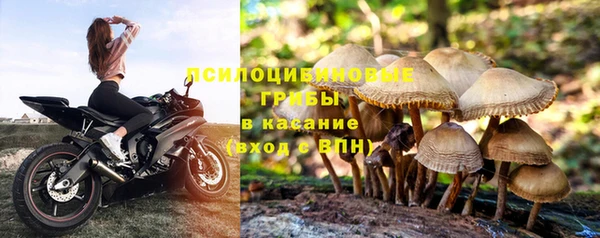 2c-b Белоозёрский