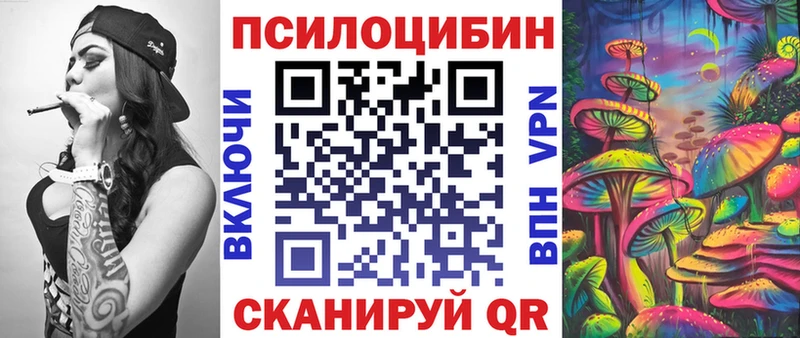 Псилоцибиновые грибы Psilocybe  Купить где  Новотроицк 